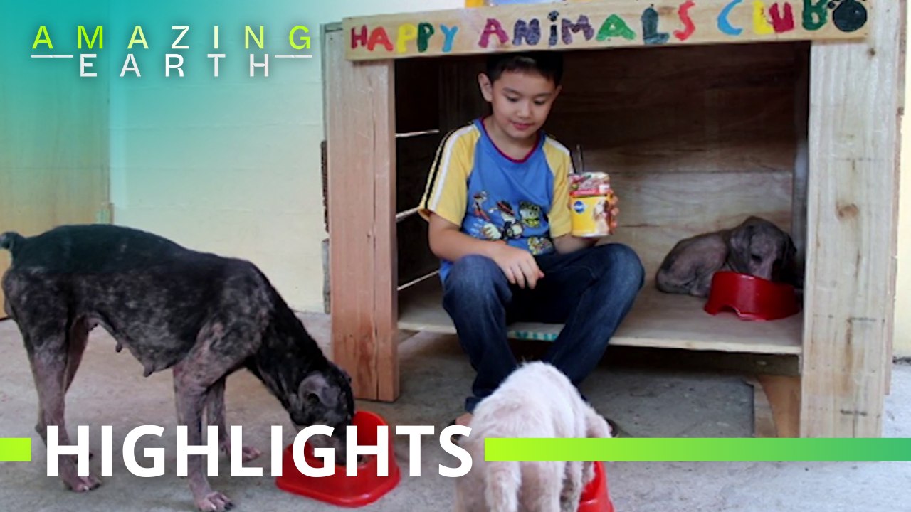 Amazing Earth: Ken Amante creates the Happy Animals Club to help animals in need!