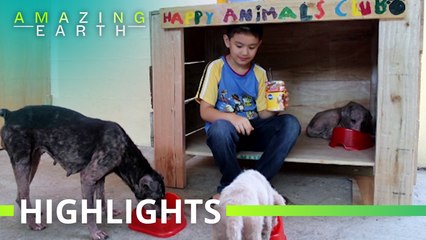 Amazing Earth: Ken Amante creates the Happy Animals Club to help animals in need!
