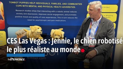 CES Las Vegas : Jennie, le chien robotisé le plus réaliste au monde