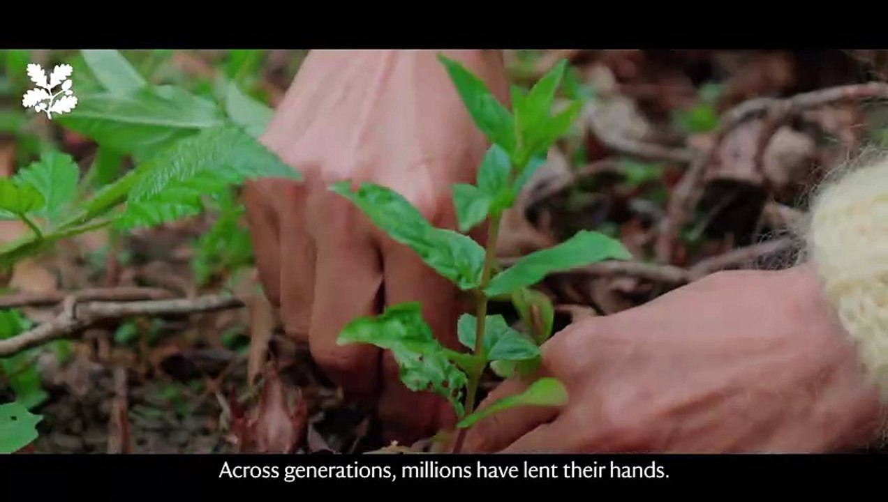 The National Trust have announced grand 10-year strategy to mark the charity's 130th birthday