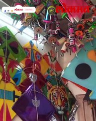 शहरात सर्रास नायलॉन मांजाचा वापर सुरू जीव धोक्यात, प्रशासनाची हतबलता