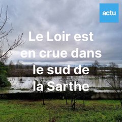 Le Loir est sorti de son lit, dans le sud de la Sarthe, ce jeudi 9 janvier 2025