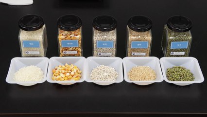 [녹색] 반려견 사료, 탄수화물 원료따라 체내 흡수율 '제각각' / YTN