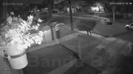 Câmeras flagram homem invadindo apartamentos na Vila Izabel