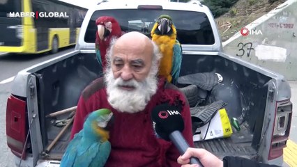İstanbul'un "Papağanlı Amcası" görenleri şaşırtıyor: "14 tane papağanım var, onlarla her yere gidiyorum"