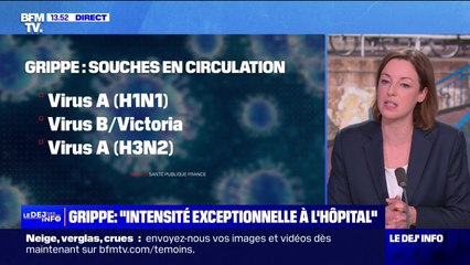 Vaccin contre la grippe: 10,3 millions de doses ont été distribuées, soit environ le même nombre que l’année dernière