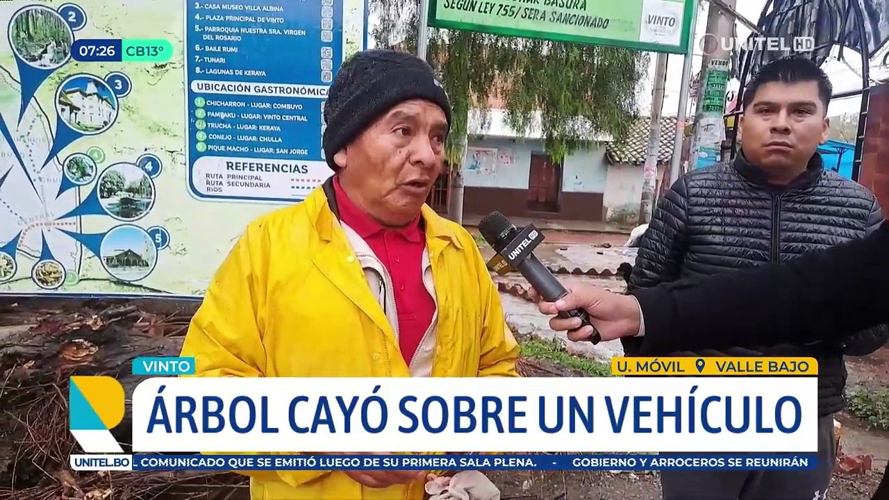 Hombre resulta herido luego de que un árbol cayera sobre su vehículo cuando esperaba en el semáforo