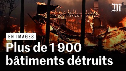 Incendies de Los Angeles : les images des dégâts