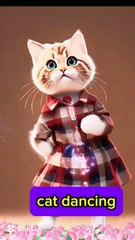 Cat dancing videos animal animal dance
