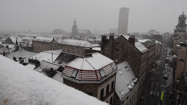Neige à Bruxelles : la capitale revêt son plus beau manteau blanc