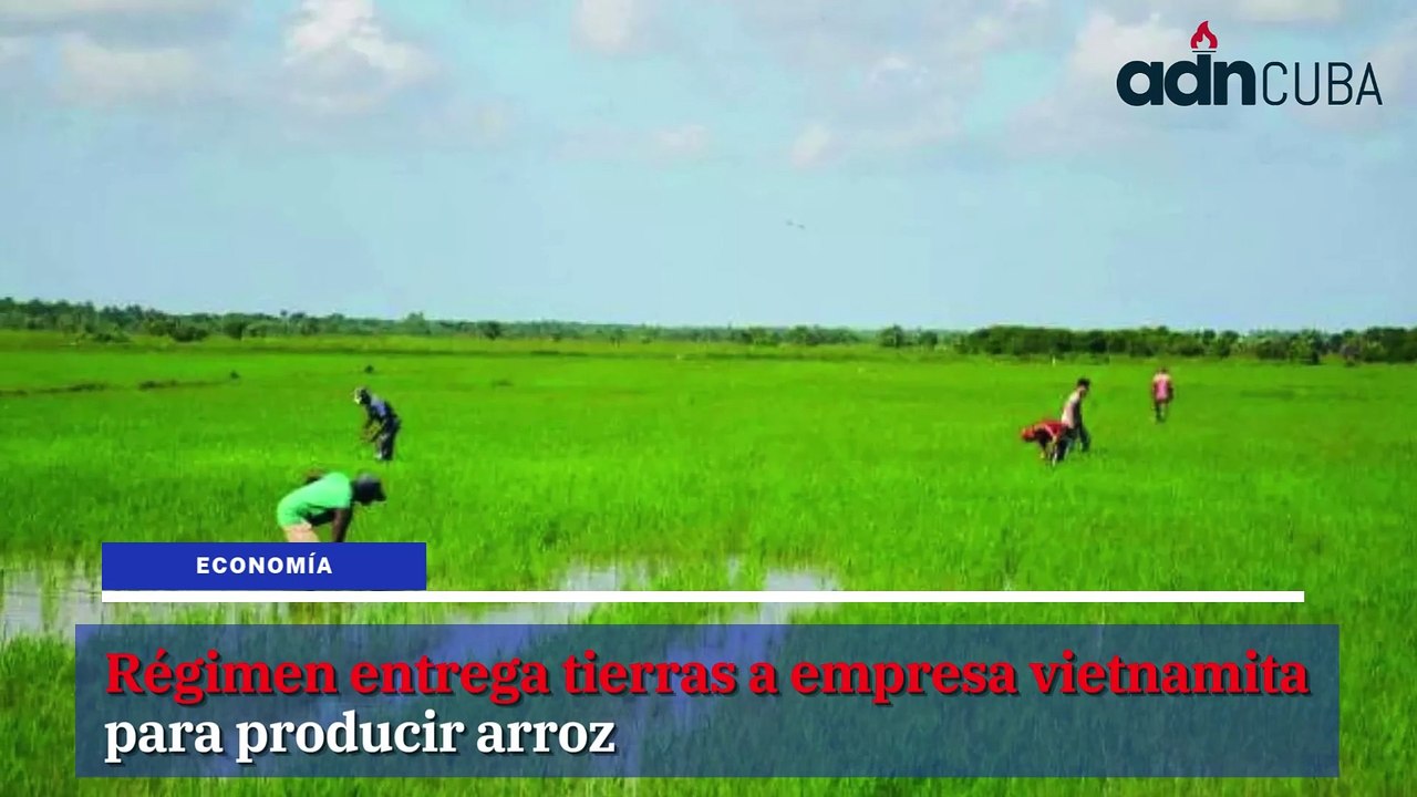 Las noticias más leídas en ADN Cuba hoy Enero 9