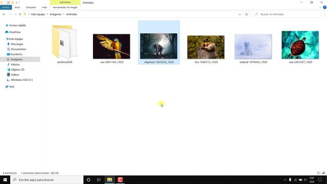 Como poner Visor de Imagenes Predeterminado Windows 10 | cambiar visualizador de imagenes windows 10