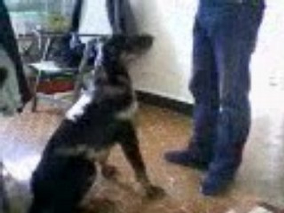Vidéo-0002_1