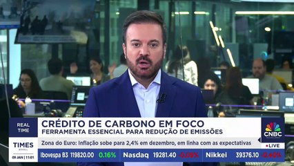 CEO da Systemica analisa nova regulação do crédito de carbono: "Empresas devem reportar emissões"