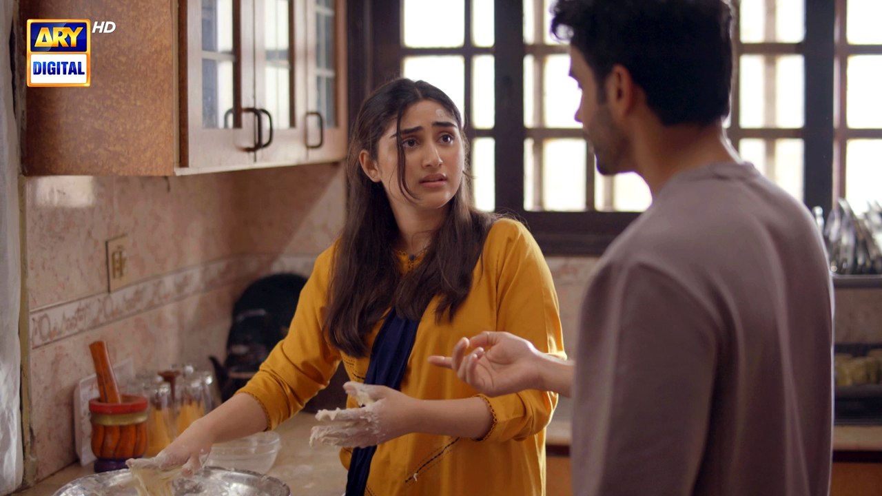 Aapa Shameem EP - 34