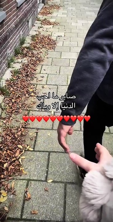 حالات
