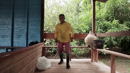 Iniciativas locais resgatam ofício de seringueiro e ajudam a preservar Floresta Amazônica