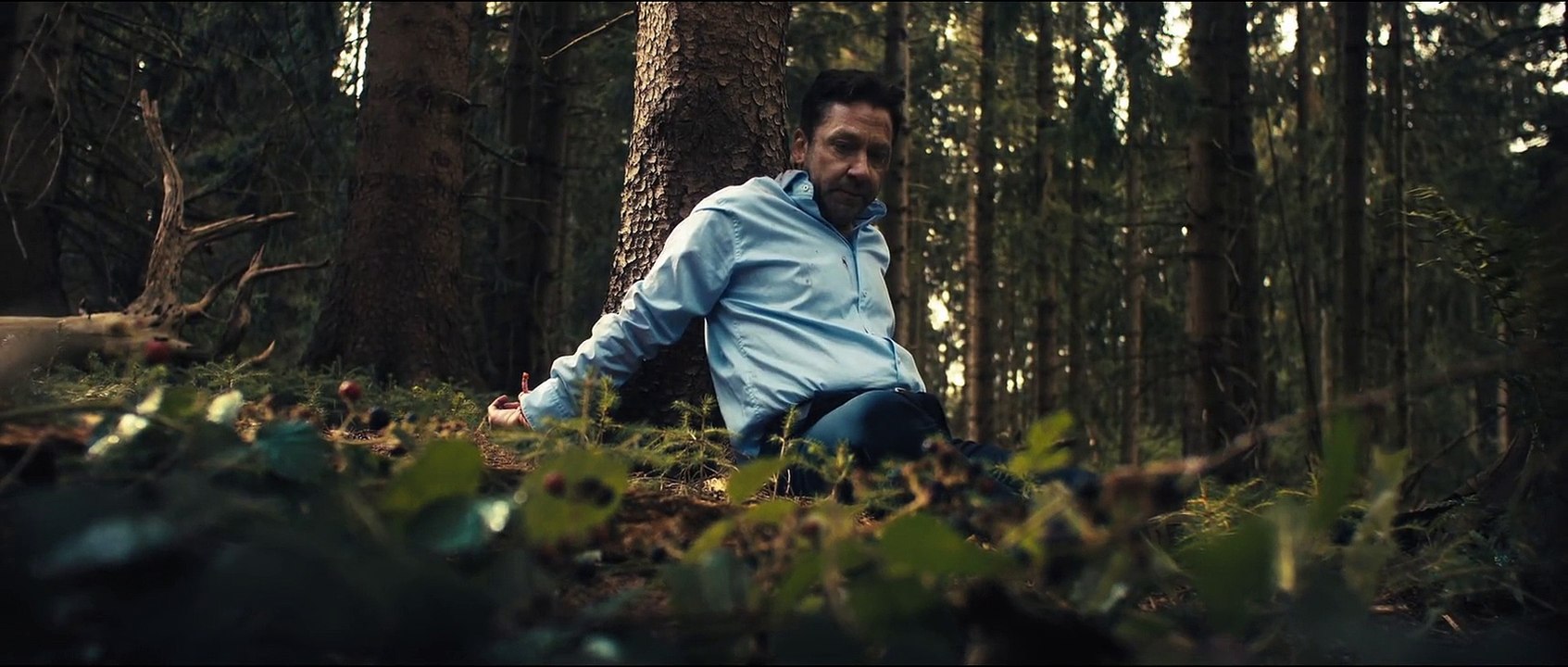 Bark – Nichts bleibt verborgen kostenlos anschauen