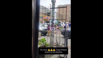 Imágenes Fuertes: Una mujer perdió la vida al ser atacada por su perro pitbull