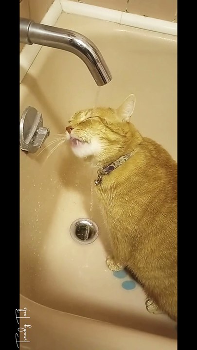Bathtub Beauty