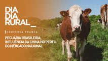 Pecuária brasileira: influência da China no perfil do mercado nacional