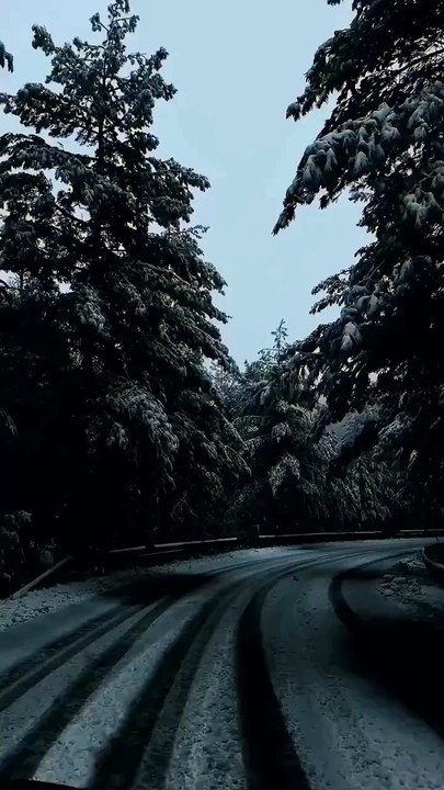 Winter_Road_trip_❤️___#nature_#naturephotography_#naturelovers_#naturelover#naturegeography_#usa_#naturegram_#naturephoto_#natureshots_#nature_perfect