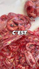 ETRANGE Découverte en Corée 😲😲