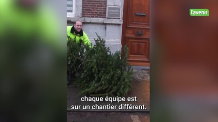 La minute locale : 1000 tonnes de sapins récoltés à Hannut