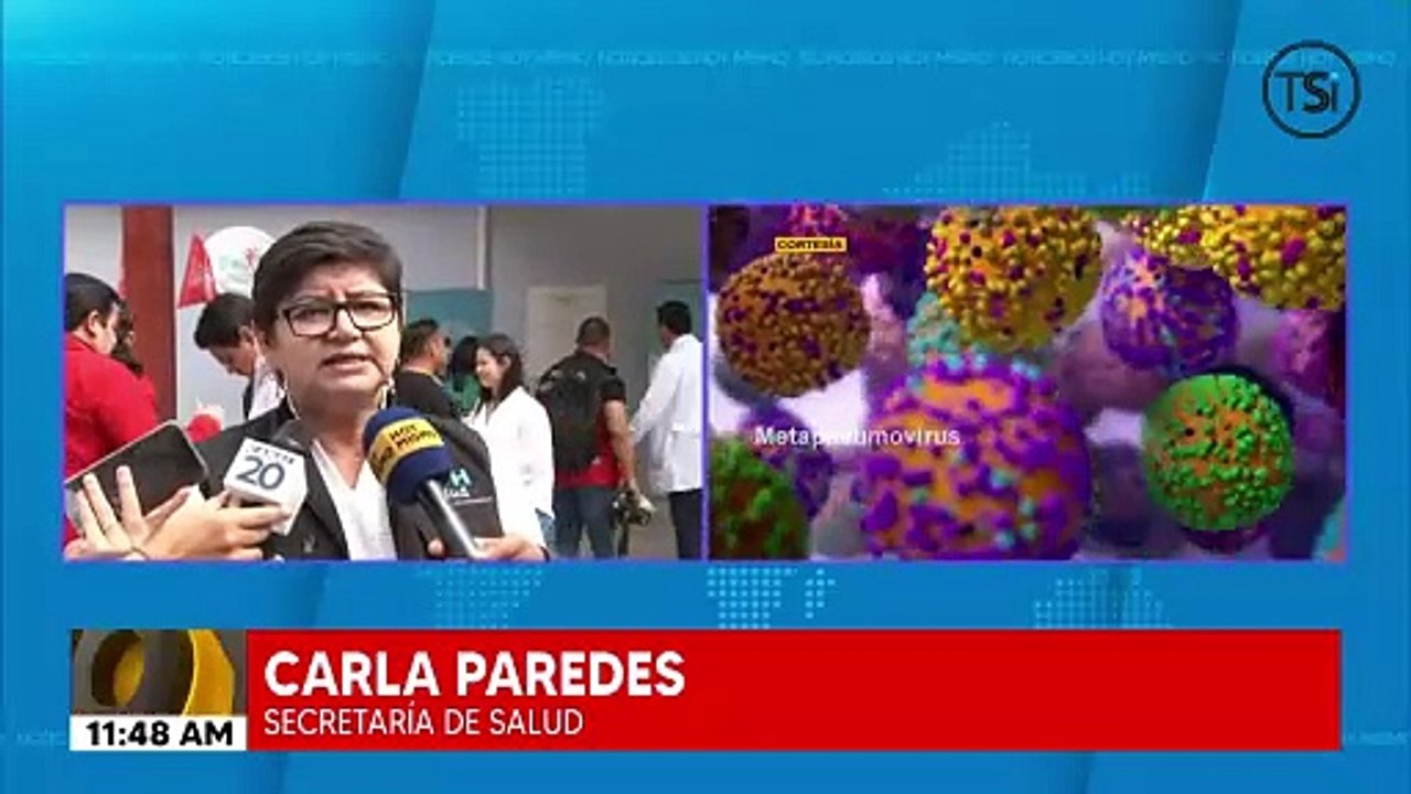 Secretaría de Salud descarta casos de metapneumovirus