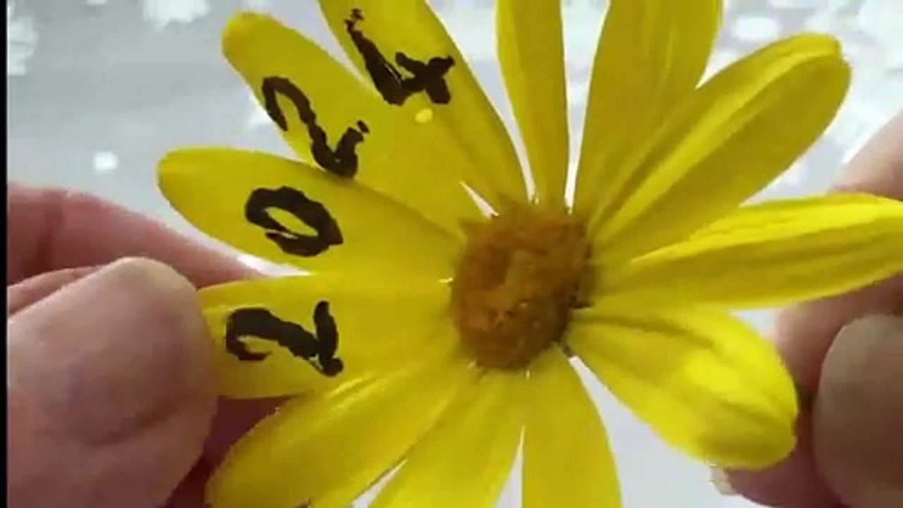 Bonne Année 2025