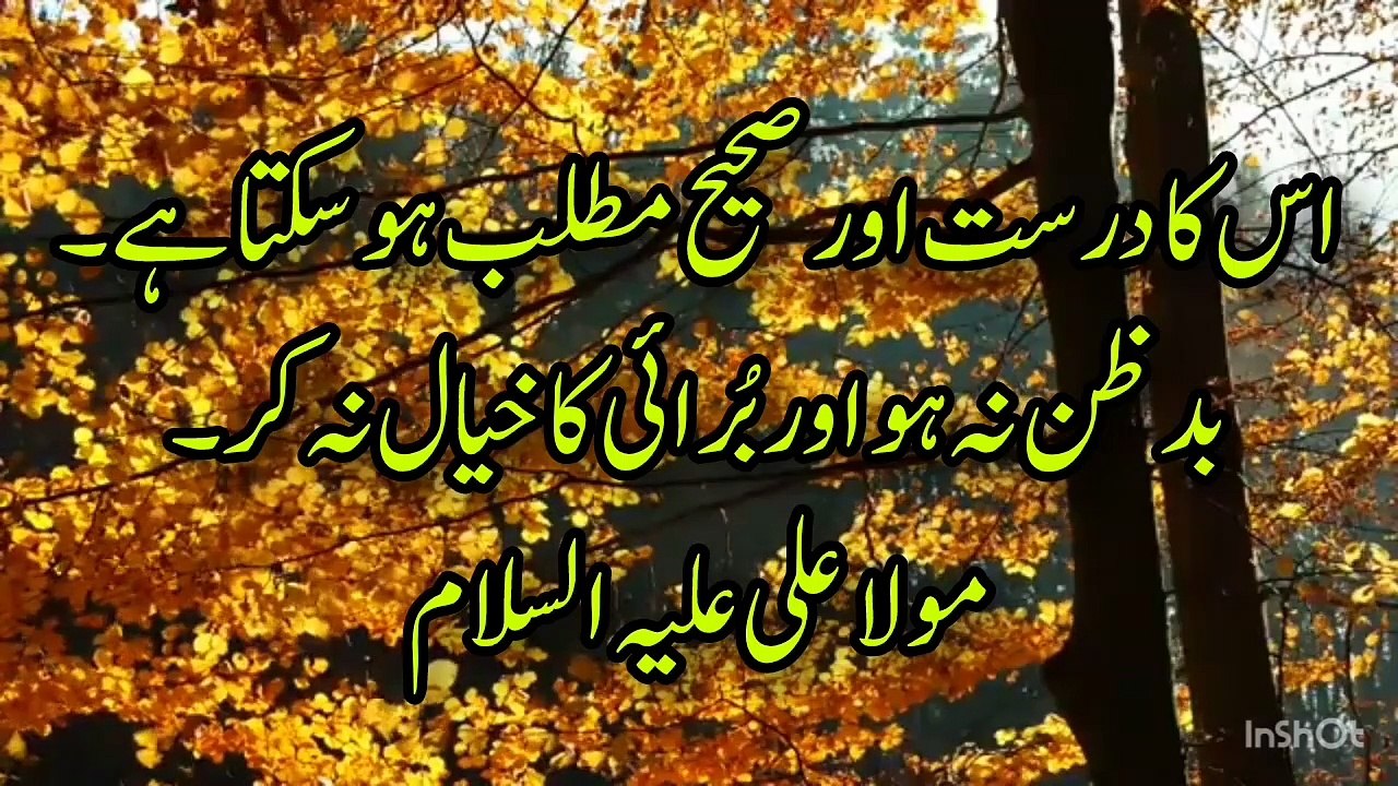 Aqwal mola Ali a.s