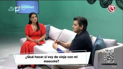 Entrevista - Esto es lo que debe hacer para viajar con su mascota