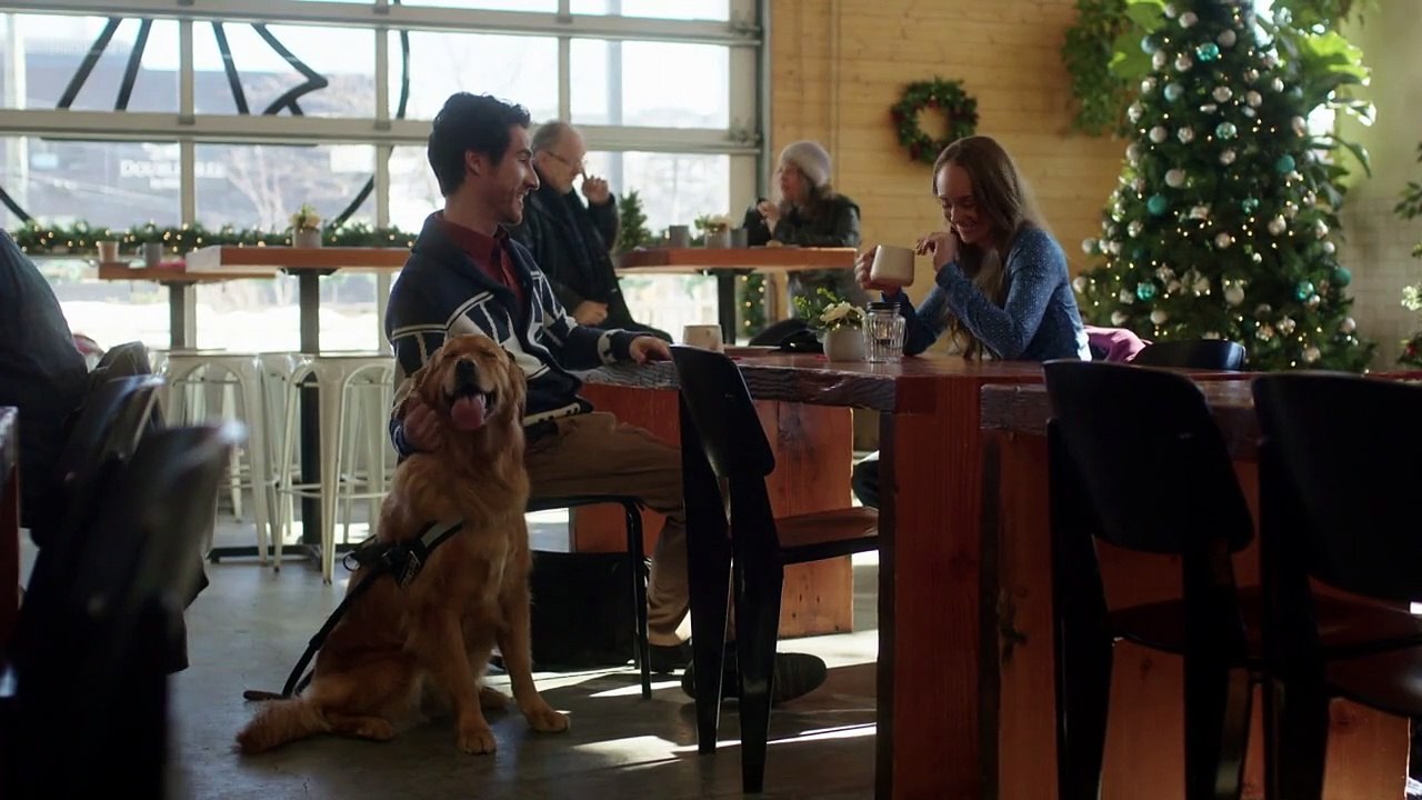 Max Meine Weihnachtshilfe auf vier Pfoten kostenlos anschauen