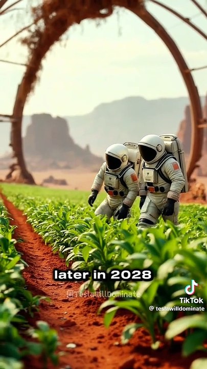 Elon musk plan to shift people to mars