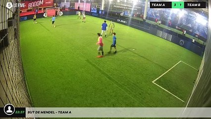 But de Mendel - Team A