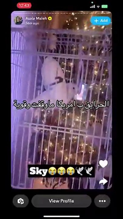 انهيار أصالة المالح بعد مغادرة منزلها بسبب حرائق لوس أنجلوس