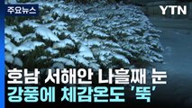 호남 서해안 나흘째 눈...강풍에 체감온도 '뚝' / YTN