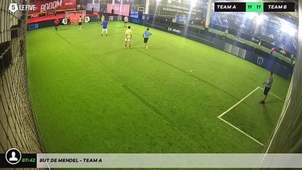 But de Mendel - Team A