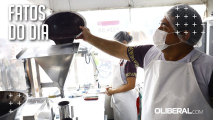 Preço do açaí deve ficar mais baixo na próxima safra do que em 2024