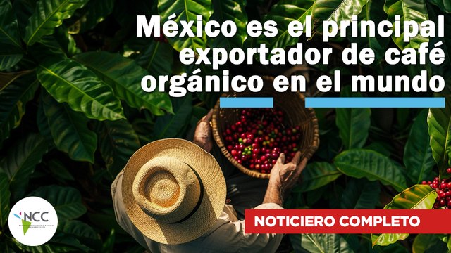 México es el principal exportador de café orgánico en el mundo | 724 | 13 al 19 enero de 2025