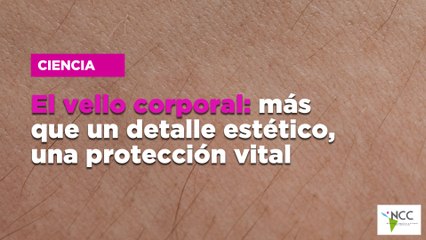 El vello corporal: más que un detalle estético, una protección vital