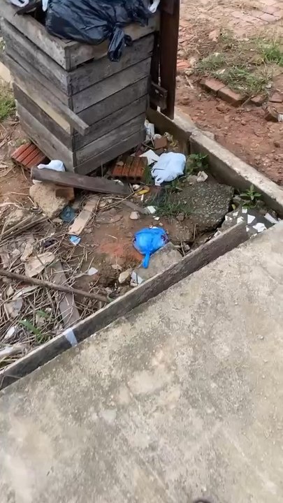 Veja video aqui