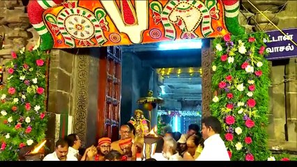 hn_ani2_trichy_vaikunda_ekadasi_srirangam_temple_decked_up_04-37-50