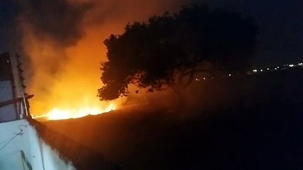 Novo incêndio em área de vegetação em Arapiraca