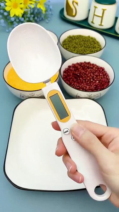 https://technoant.co/products/digital-spoon-scale?ref=MDAUD