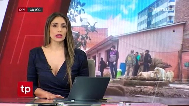 Con desnutrición y en malas condiciones, así fueron hallados los perros que atacaron a la madre de su dueña; Zoonosis rescató más de 20 canes