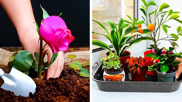 101 Gardening Hacks: Flower Decoration Ideas at Home