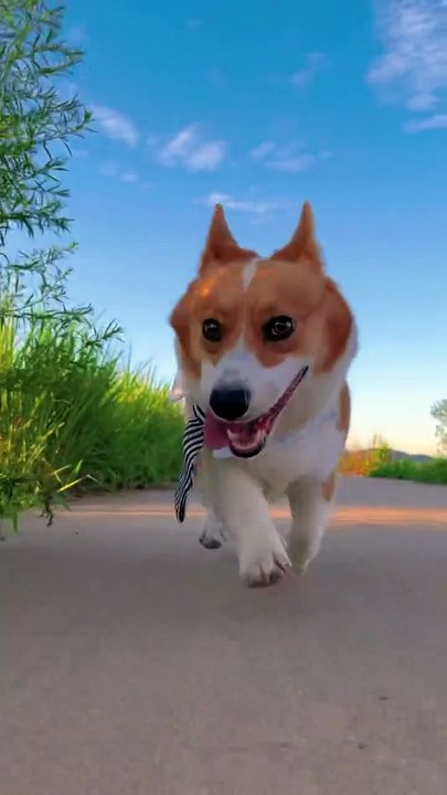 and remember to be happy every day!