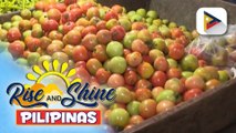 Mambabatas, pinaiimbestigahan ang biglang pagtaas ng presyo ng kamatis sa merkado