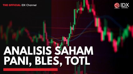 Analisis Saham PANI, BLES, TOTL